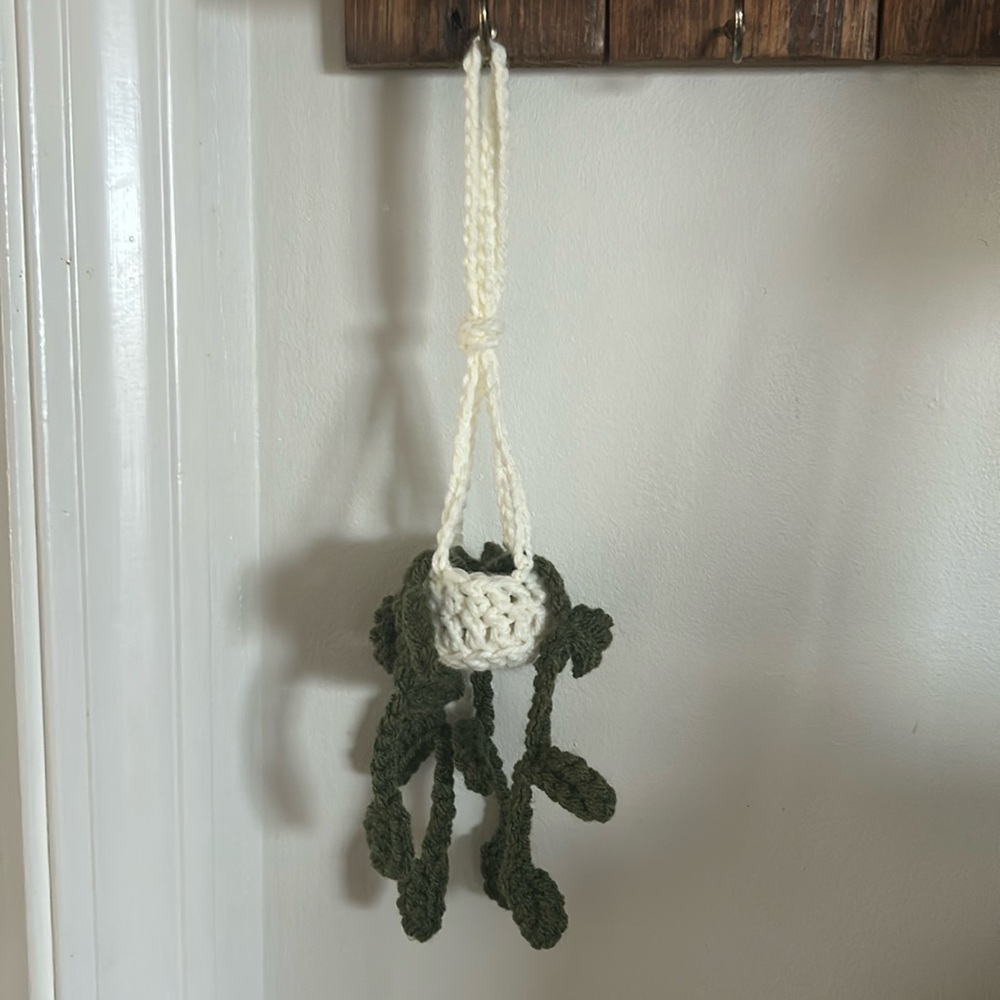 Rear view mirror hanging plant, crocheted